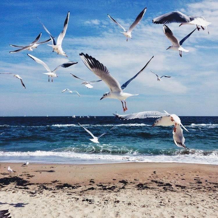 Wave 2 Mamaia Prima Linie Vedere La Mare 120Mp Năvodari Exteriör bild