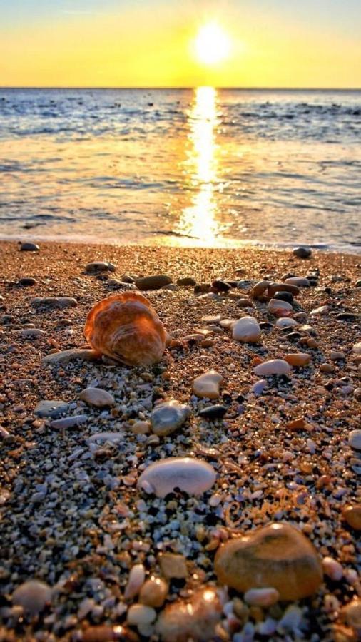 Wave 2 Mamaia Prima Linie Vedere La Mare 120Mp Năvodari Exteriör bild